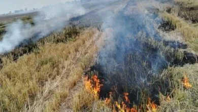 آتش در مزارع خوزستان تهدیدی خاموش علیه خاک و سلامت عمومی