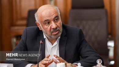 تأکید وزیر تعاون بر تدوین آیین‌نامه‌های پوشش بیمه تاکسی‌های اینترنتی