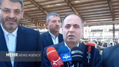 قیمت محصولات دامی اصلاح می‌شود