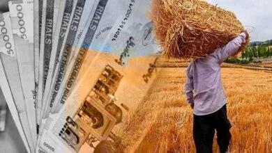 دومین مرحله از مطالبات کشاورزان گندمکار پرداخت شد
