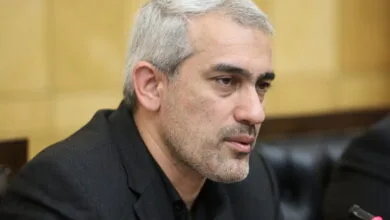 مدنیزاده: بهدنبال خصوصیسازی واقعی هستیم مدنیزاده: بهدنبال خصوصیسازی واقعی هستیم
