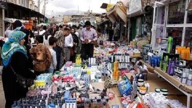 ۳ هزار روستابازار برای عرضه مستقیم محصولات کشاورزی ایجاد می‌شود